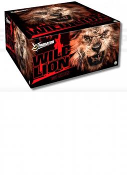 Wild Lion