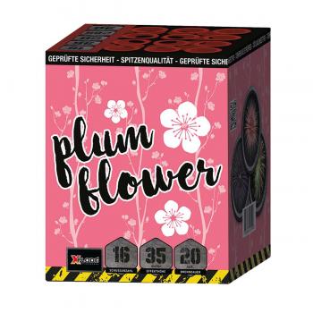 Plum Flower