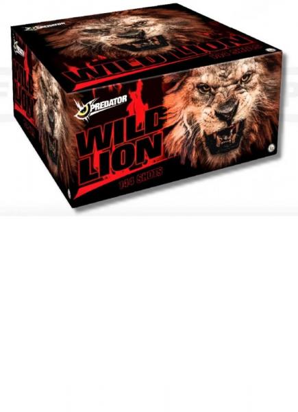 Wild Lion