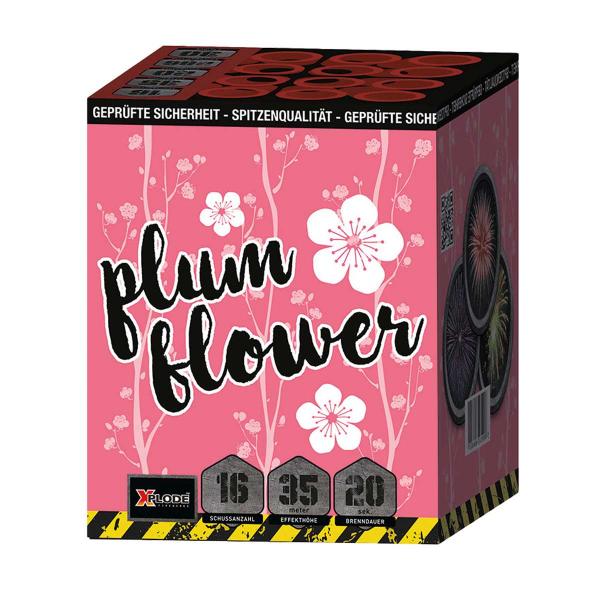 Plum Flower